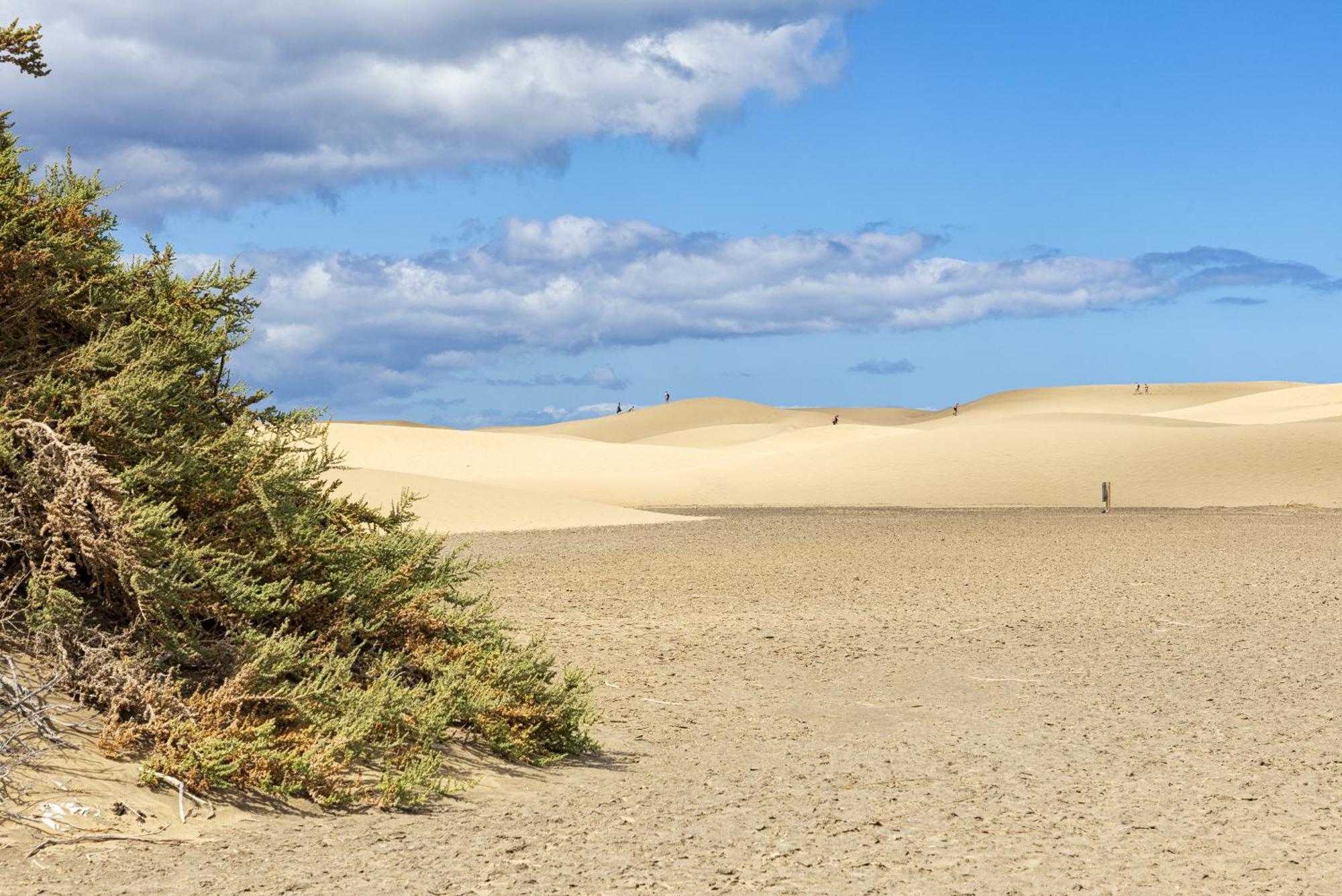 Village de vacances Smartr Maspalomas Corinto 2*